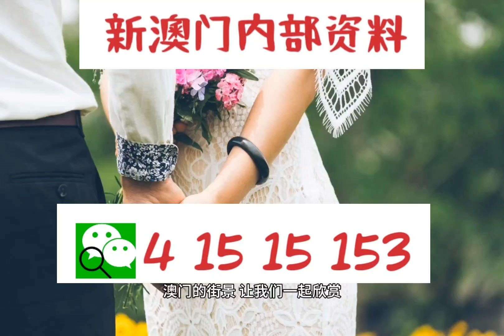 新闻 第360页