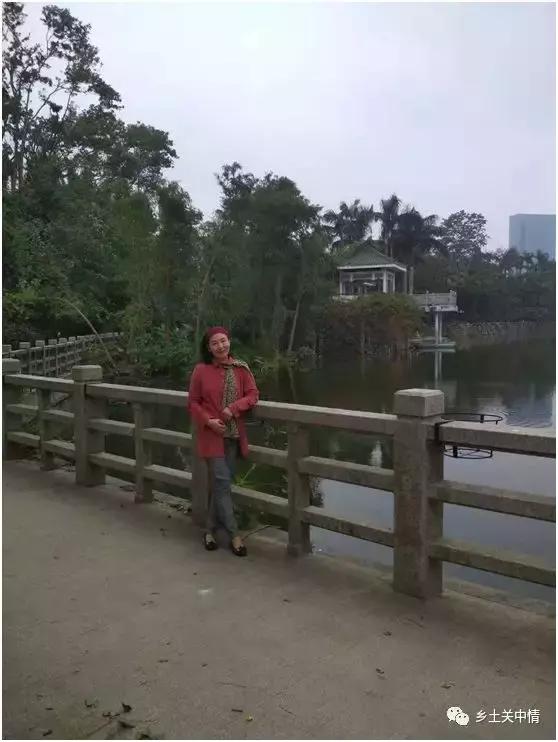 三中三必中一组澳门——聆听大自然的声音,感受生命的律动