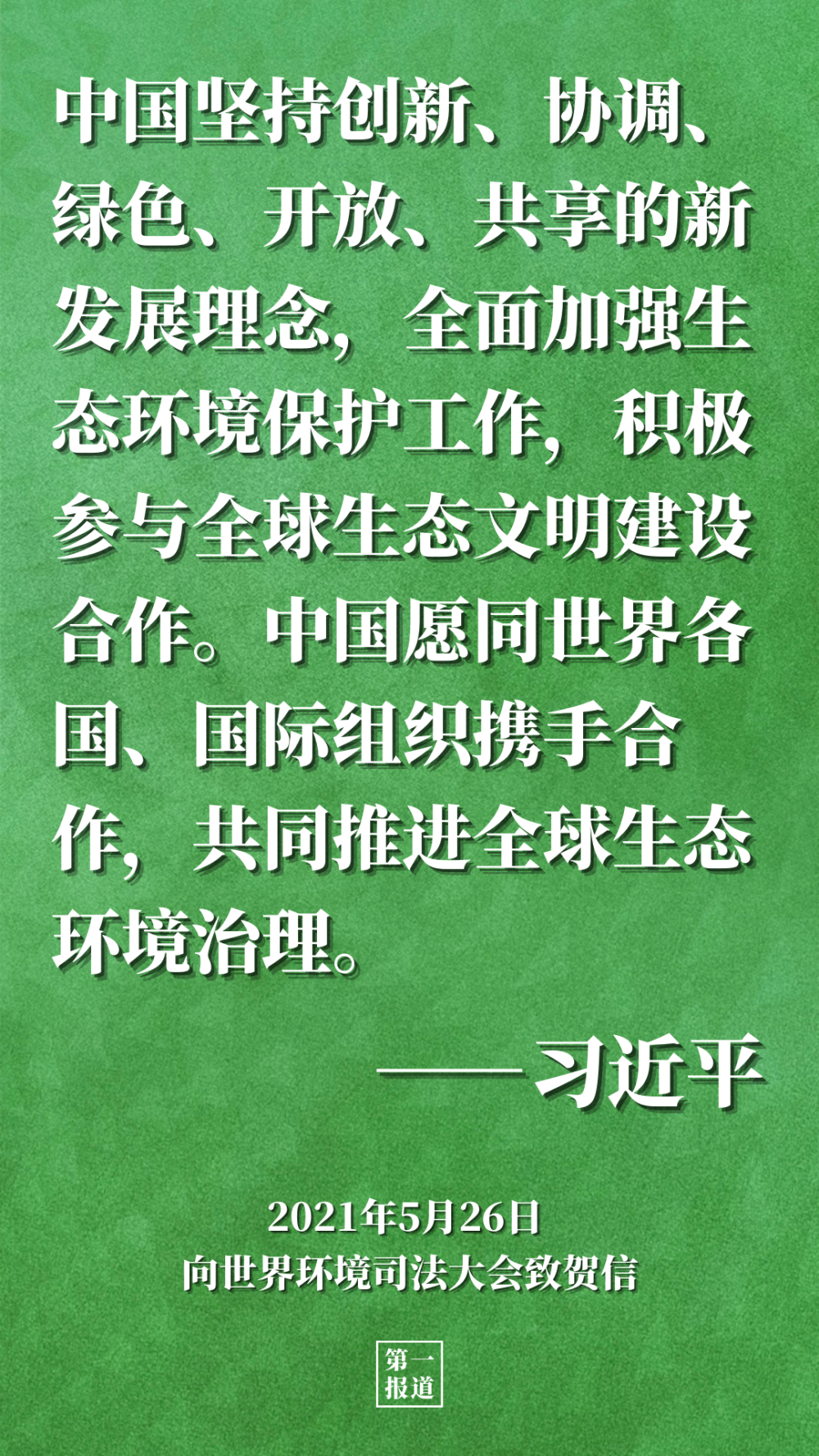 三中三必中一组澳门——聆听大自然的声音,感受生命的律动