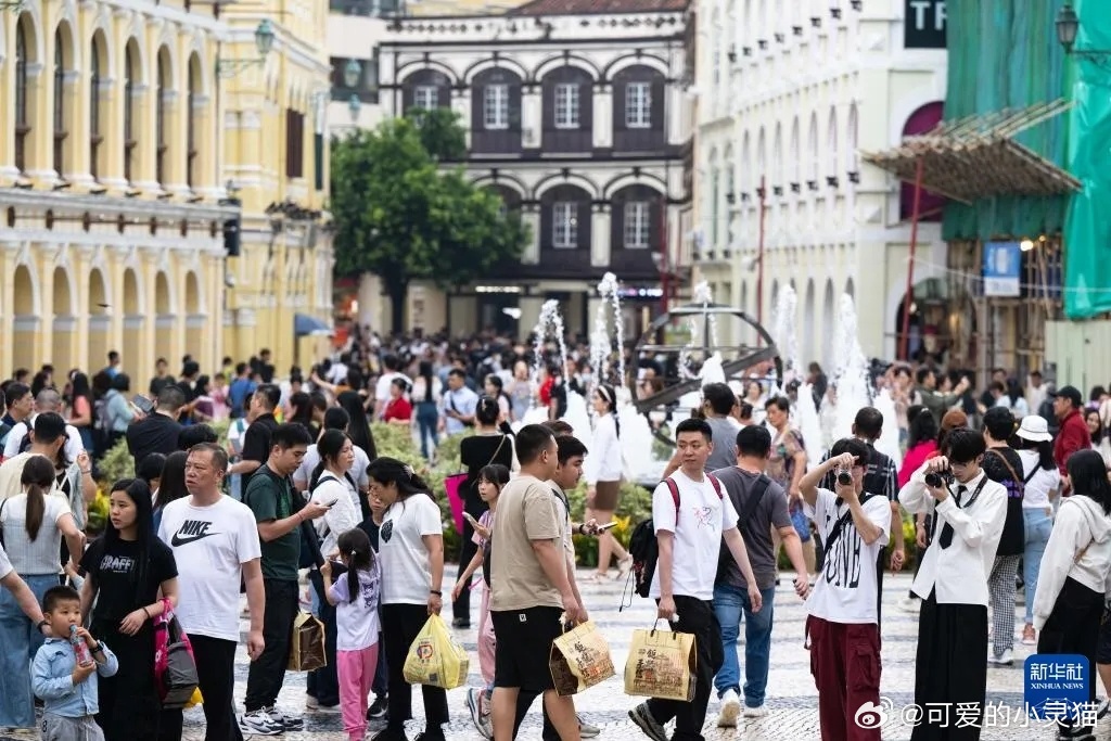 澳门2025年全年免费资料,政策实施与词语释义解析 - 旅游